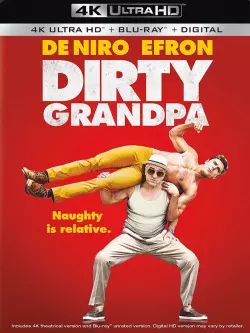 Dirty Papy - MULTI (TRUEFRENCH) BLURAY REMUX 4K