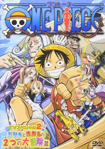 One Piece SP 3 : Protégeons-la ! La dernière grande scène - VOSTFR DVDRIP