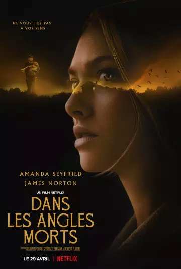 Dans les angles morts - FRENCH HDRIP