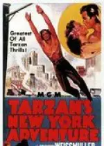 Les Aventures de Tarzan à New York - FRENCH DVDRIP