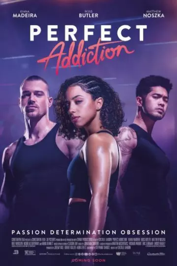 Perfect Addiction - FRENCH WEB-DL 720p