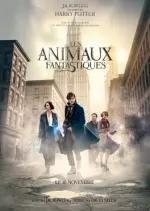 Les Animaux fantastiques - TRUEFRENCH BDRIP
