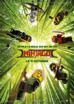 LEGO Ninjago : Le Film - TRUEFRENCH BDRIP