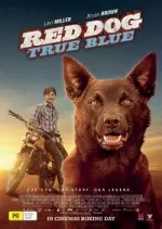 Red Dog: True Blue - FRENCH HDRIP