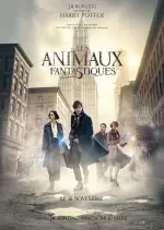 Les Animaux fantastiques - TRUEFRENCH DVDSCR