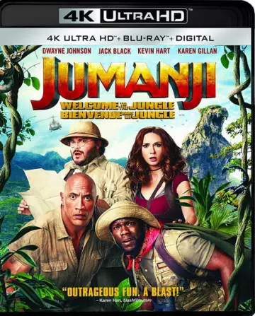 Jumanji : Bienvenue dans la jungle - MULTI (TRUEFRENCH) 4K LIGHT