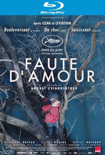 Faute d'amour - MULTI (FRENCH) BLU-RAY 1080p