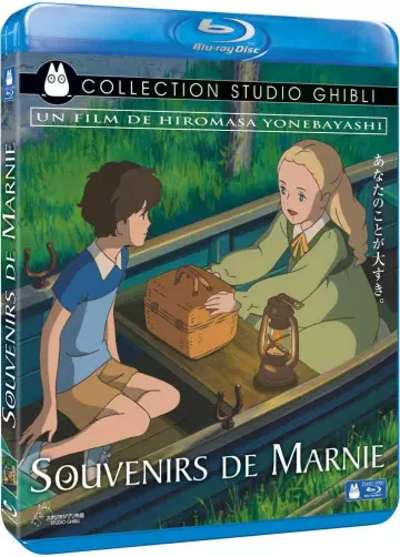 Souvenirs de Marnie - MULTI (FRENCH) BLU-RAY 1080p