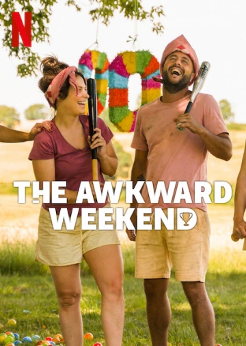The Awkward Weekend - MULTI (FRENCH) WEB-DL 1080p