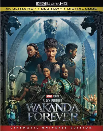 Black Panther : Wakanda Forever - MULTI (TRUEFRENCH) 4K LIGHT
