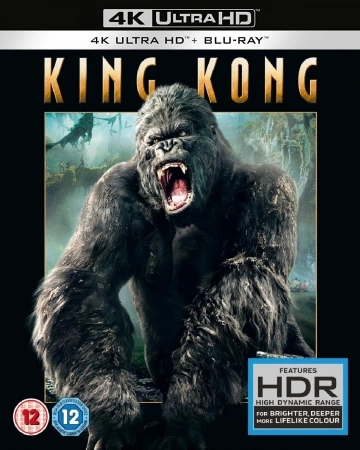King Kong - MULTI (TRUEFRENCH) 4K LIGHT