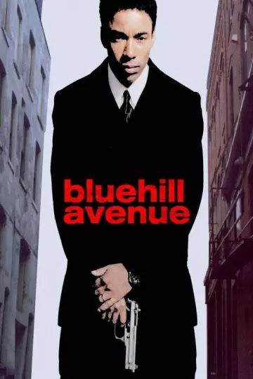 Blue Hill Avenue - TRUEFRENCH DVDRIP