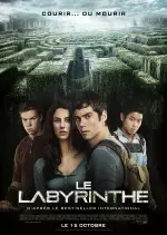 Le Labyrinthe - FRENCH BDRip XviD
