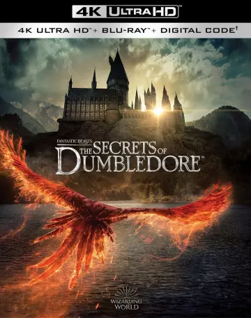 Les Animaux Fantastiques : les Secrets de Dumbledore - MULTI (TRUEFRENCH) BLURAY REMUX 4K