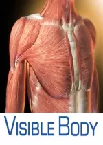 Visible Body 7.4.01 - "anatomie du corps humain" - Microsoft