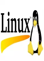 Alphorm Formation Linux Scripting Acquérir les fondamentaux - Microsoft