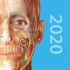 Atlas d’anatomie humaine 2020