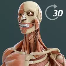 Visual Anatomy 2 v0 build 40 - Applications