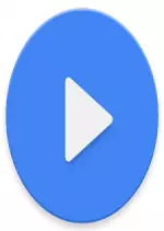 MX Player Pro  1.9.14 - Applications