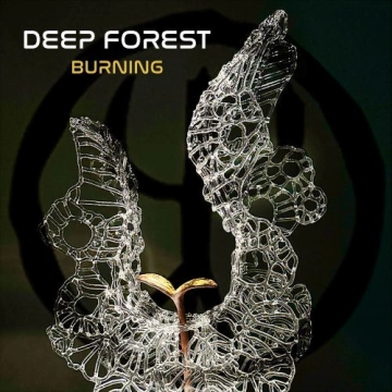 Deep Forest - Burning - Albums
