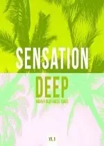 Sensation Deep Vol 9 (Groovy Deep House Tunes) 2017