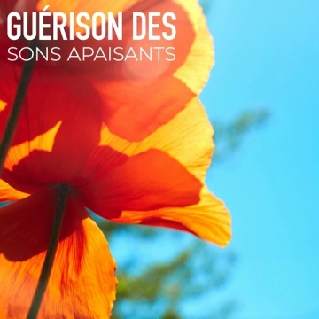 Relaxation Sommeil et Détente - Guérison des Sons Apaisants - Albums