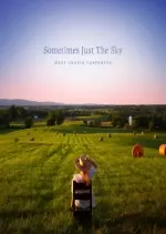 Mary Chapin Carpenter - Sometimes Just the Sky - Albums