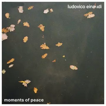 Ludovico Einaudi - Moments of Peace