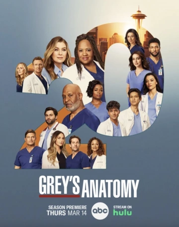 Grey's Anatomy - Saison 20