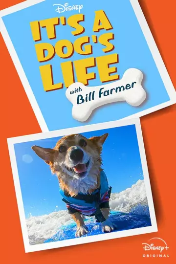 It's A Dog's Life - VOSTFR HD